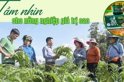 Tầm nhìn cho nông nghiệp giá trị cao