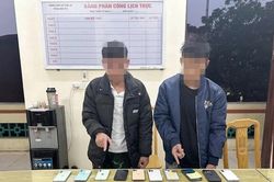 Thiếu niên 16 tuổi cùng 'đàn anh' đột nhập trộm cắp 39 chiếc điện thoại iPhone