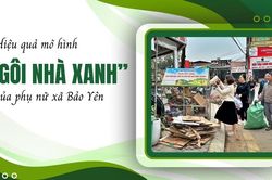 Hiệu quả mô hình 'Ngôi nhà xanh' của phụ nữ xã Bảo Yên