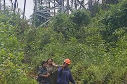 Hai người bị thương do sự cố phóng điện từ đường dây 110kV khi khai thác keo