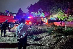 Hà Nội: Kịp thời dập tắt đám cháy rừng tại khu vực Núi Ven