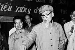 Bác Hồ đi bầu cử