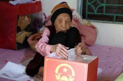 Hà Nội: Cụ bà tròn 100 tuổi ở 'xã đảo' Minh Châu tự tay bỏ lá phiếu bầu cử