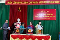 Không khí ngày bầu cử thực sự là ngày hội non sông