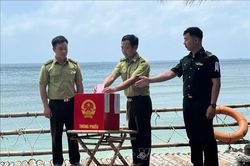 Đưa thùng phiếu vượt biển đến với kiểm lâm giữ đảo rùa