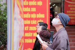 Cử tri cả nước hân hoan đi bầu cử