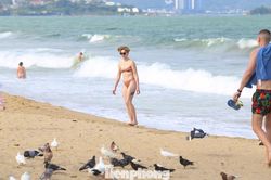 Cảnh tượng chim bồ câu níu chân du khách ở bãi biển Nha Trang