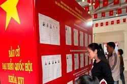 Phường Lĩnh Nam: Đến 10h, hơn 62% cử tri đã hoàn thành việc bỏ phiếu
