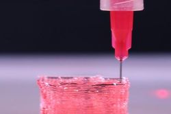 Phát triển mô cấy ghép in 3D giúp phục hồi tổn thương mô nghiêm trọng