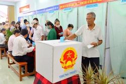 Lá phiếu trong buổi sáng phù sa