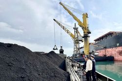 Hải quan cảng Cẩm Phả triển khai nhiều giải pháp hỗ trợ doanh nghiệp