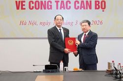 Ông Vũ Hải Hà làm Phó Chủ nhiệm thường trực Ủy ban Quốc phòng, An ninh và Đối ngoại