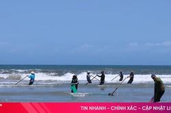 Ốc tép dạt vào bờ, ngư dân Hà Tĩnh kiếm tiền triệu mỗi ngày