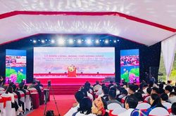 Nghệ An khởi công 11 trường phổ thông nội trú liên cấp vùng biên giới