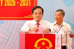 TP Hồ Chí Minh: Cử tri đi bầu đạt 99,06%, bầu đủ đại biểu Quốc hội và HĐND