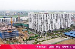 Tiếp nhận đăng ký mua nhà ở xã hội dự án thí điểm giai đoạn II - phường Thành Sen từ 21/4