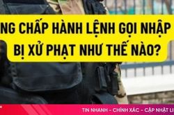 Không chấp hành lệnh gọi nhập ngũ, bị xử phạt 62,5 triệu đồng