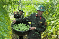 Cảm xúc lần đầu tăng gia của chiến sĩ mới ở Trung đoàn 20