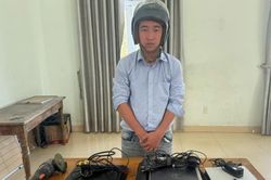 Đạo chích sa lưới