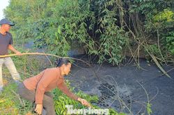 Dân lo lắng khi nước suối bất ngờ chuyển màu đen đặc vì ô nhiễm