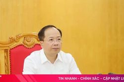 Tình hình an ninh mạng trên địa bàn Hà Tĩnh được bảo đảm ổn định