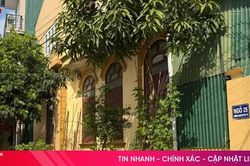 Cây cảnh 'lấn' vỉa hè - Vẫn chưa quyết liệt xử lý?