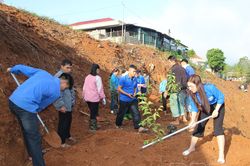 Thanh niên xung kích, sáng tạo xây dựng nông thôn mới