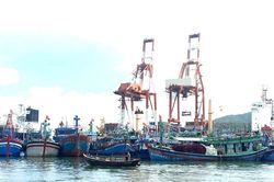 Gia Lai tạm cấp hơn 212 tỷ đồng hỗ trợ chuyển đổi nghề cho ngư dân