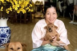 Trạm trung chuyển yêu thương cho chó, mèo bị bỏ rơi