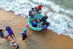 Từ bến cá đến đại ngàn: Khơi nguồn bình đẳng giới bằng quyền tự chủ kinh tế
