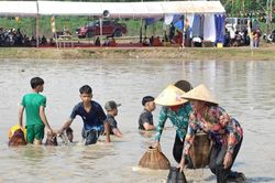 Đồng bào Khmer hào hứng với lễ hội Phá Bàu
