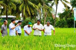 Đồng Tháp tăng tốc giảm phát thải