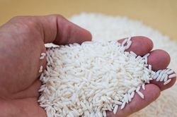 Giá lúa gạo hôm nay 20/3: Lúa tươi đi ngang, gạo OM 5451 giảm còn 8.250 đồng/kg