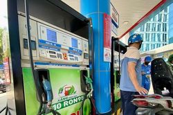 Tiết kiệm năng lượng từ… ngô và sắn: Xăng E10 'trúng nhiều đích'