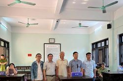 Hủy án sơ thẩm vụ gây thiệt hại hơn 11.000m³ gỗ thông ở Huế