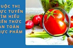 Hội LHPN tỉnh Gia Lai tổ chức cuộc thi trực tuyến 'Tìm hiểu kiến thức an toàn vệ sinh thực phẩm vì sức khỏe phụ nữ'
