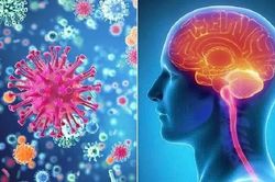 Triển khai biện pháp phòng - chống bệnh viêm màng não mô cầu