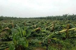 Đẩy mạnh số hóa, khơi thông nguồn lực từ chính sách miễn, giảm tiền thuê đất