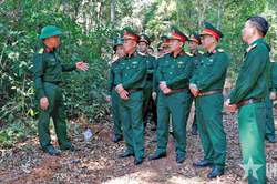Đoàn Kinh tế - Quốc phòng Quảng Sơn: Giữ đất, giữ rừng, tạo sinh kế cho nhân dân và củng cố vững chắc 'thế trận lòng dân'