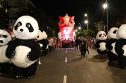 Văn hóa Trung Quốc toả sáng tại Carnival Cape Town 2026