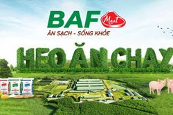 Nông nghiệp BaF (BAF): Thay 'tướng' khi lãi ròng lao dốc, dòng tiền kinh doanh âm gần 600 tỷ đồng, vẫn đặt kế hoạch lợi nhuận vượt mốc 1.000 tỷ