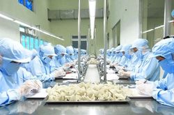 Lưu ý với nông sản Việt xuất Trung Quốc từ ngày 1/6