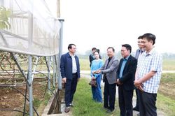 16 sở, ngành, đơn vị được giao chung tay cùng tỉnh xây dựng nông thôn mới