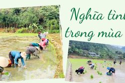 Nghĩa tình trong mùa vụ