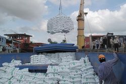 Xuất khẩu gạo tăng nhẹ, đối mặt áp lực giá và chi phí logistics