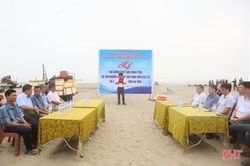 Thả ngao tím góp phần phục hồi nguồn lợi thủy sản ven biển