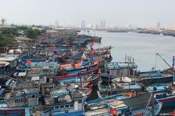 Đà Nẵng đẩy mạnh hỗ trợ, phát triển thủy sản bền vững