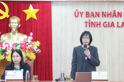 Gặp mặt báo chí trước chuỗi sự kiện khai mạc Năm Du lịch quốc gia - Gia Lai 2026