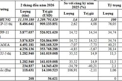 Việt Nam nhập khẩu hơn 11,16 triệu tấn than đá trong 2 tháng đầu năm 2026
