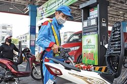 Tăng tốc phối trộn xăng sinh học E10